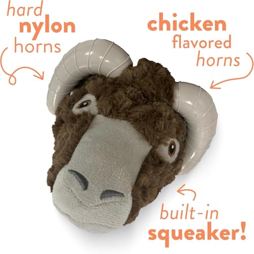 Jouet durable pour chien mâcheur peluche résistante saveur poulet Ram