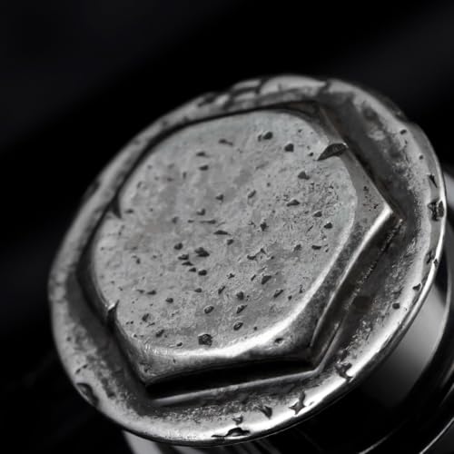 COOEAR Stainless Steel Ear Gauges Flesh Plugs and Tunnels Piercing Expander, Sun and Moon Matched Stretchers.4