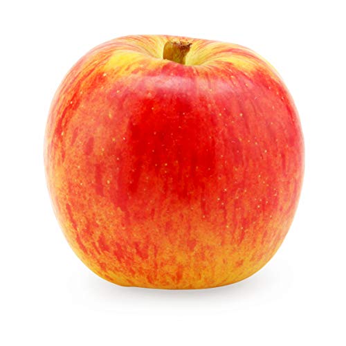 PRODUCE Organic Autumn Glory Apple