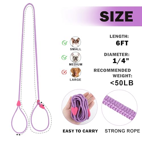 Dog Leash in use on a walk
