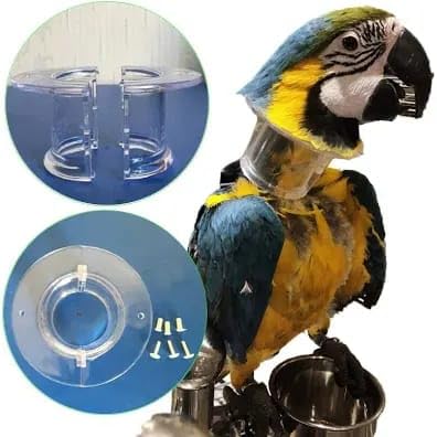 Parrot Collar, Bird Recovery Collar Bird Elizabethan Collar Recovery Wound Healing Protective Neck Cover Anti-Bite Neck Collar (L Outer Diameter 9.5 Inner Diameter 4.5) Cockatoos ; Macaw. (B0D6YX165W) Amazon Price History, Amazon Price Tracker