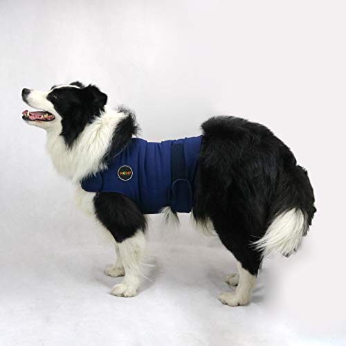 Thunder Shirt Hund Die 15 besten Produkte im Vergleich &