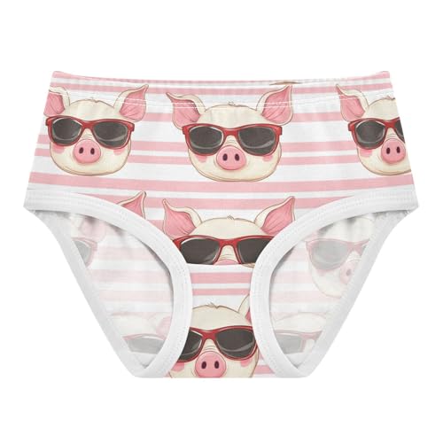 Wusikd Cute Pigs Girls' Underwear Cotton Pink Stripes Girls Briefs Soft Toddler Underwear 2T