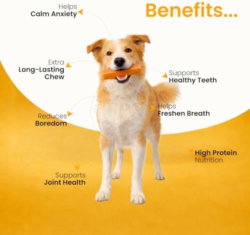 Himalayan Turmeric Cheese Dog Chews Medium 5 Bar with Vegan Digestion Dog Treats 7 oz | Long Lasting Cow Milk Digestion Chews & Plant Based Oral Health Dog Treat Combo image 4