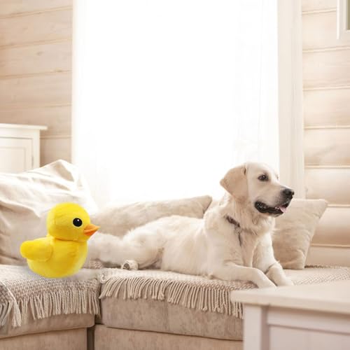 Kiuiom Gelbe Ente Weiche Plüschtier,Plüsch Gelbe Ente Weich Füllen Tiere Spielzeug,Gelb Ente Kuscheltier,Entes Plüschtier,Entes Stofftier Plüschtiere,Süßes Flauschiges Plüschtiere