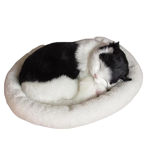 [AiO JAPAN] �C���e���A �N�b�V�����ŐQ��L ���� �l�R ������ ���� �A�j�}��