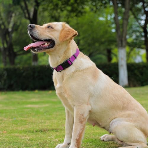 Image of Waterproof Dog Collar, Easy to Clean Rubber Dog Collars with Quick Release Buckle Fits Small Medium or Large Dogs (Purple, L < 15.4-24.8 inch)