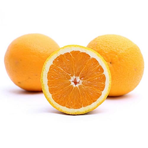 Lulu Orange Valencia South Africa 2.5kg