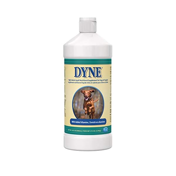 Dyne High Calorie Liquid for Dogs, 32 oz Dyne High Calorie Liquid for Dogs, 32 oz