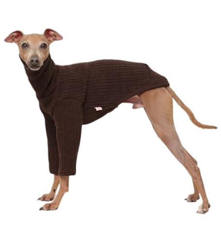 D DOGGY STAR C^O njbg TVc ^ ^ ^ H ~  Ci[ doggystar hbM[X^[ (, M)