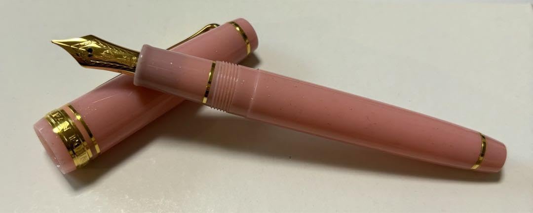 Amazon.co.jp: SAILOR×ラデスペリテ オリジナル万年筆 サマーピーチ