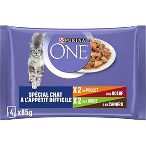 PURINA ONE Chat difficile Effilés Sauce 4X85g