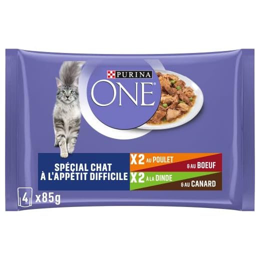 PURINA ONE Chat à l'Appétit Difficile Effilés en Sauce Saveurs Assortis Poulet & Boeuf et Dinde & Canard | Sachets Repas pour Chat Adulte | 4 x 85g