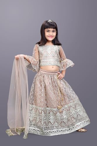 Image of Girl's Princess Lehenga Choli Set - Soft Net, Ribbon Embroidery With Duppata, Readymade