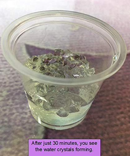 Insectsales.com Live Ants for Ant Farms with Free Ant Food (40 Healthy Red Harvester Ants) (2) Ants + Water Crystals