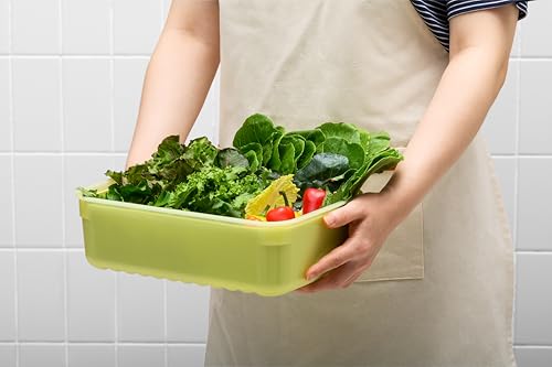 Image of LocknLock Fresh-Block Plastic Food Storage Container | Produce Storage Containers for Fridge | Vegetable & Fruit Storage Containers for Fridge, Storage, Microwave & Dishwasher Safe, 1.5L