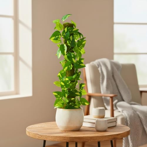 Image of fancymart Artificial Leaves Vine on Moss Stick 60 cm (Without Pot) | Decorative Indoor Plant for Home, Office, Cafe & Restaurant