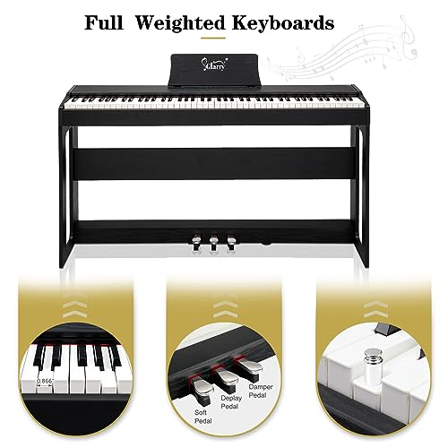 LEADZM Piano Numérique 88 Touches avec Banc, Clavier Entièrement Lesté, Piano Électrique avec Double Bluetooth et Haut-Parleurs Stéréo, 128 Sonorités et Rythmes, Système à 3 Pédales, Noir - Les Beatles, Paul McCartney, John Lennon, RIngo Starr, George Harrison LEADZM Piano Numérique 88 Touches avec Banc, Clavier Entièrement Lesté, Piano Électrique avec Double Bluetooth et Haut-Parleurs Stéréo, 128 Sonorités et Rythmes, Système à 3 Pédales, Noir – Image 5