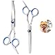 2 pcs Hunde Scheren, Gebogene Schere Hund Fellschere Für Hunde, Hund und Katze Sicherheit Runde Spitze Grooming Schere, Edelstahl-Fellschere für Hunde und Katzen, Inkl Ausdünnschere, Gebogene Schere