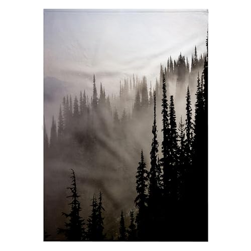 3dRose 22x30 Bath Pool Towel BC Whistler Forest CN02 MFR0031