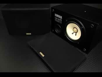 41EZ996FCHL._AC_UF350,