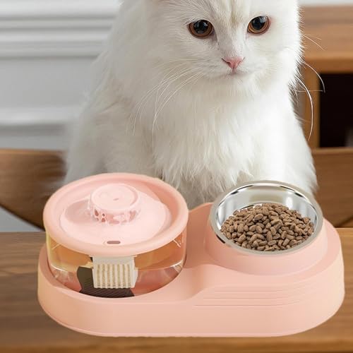 Mangeoire automatique 2 en 1 pour chat avec distributeur eau et nourriture grande capacité - 3