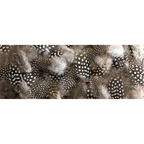 Plage Plumas Cabecero de Cama Adhesivo