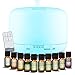 Difusor aceites Esenciales MEVA 300ML (Pack de 10, 2 o sin esencias de Regalo a Elegir) ULTRASONICO, 7 Colores LED, humificador Aceite Esencial aromaterapia (10 Esencias)