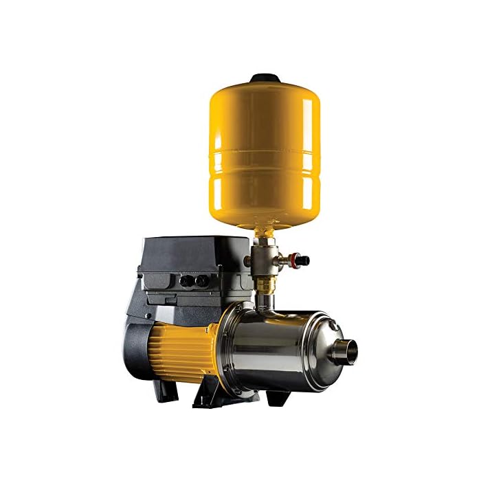 Buy Davey Water Products DD6010 Booster Pump, Silver Online at