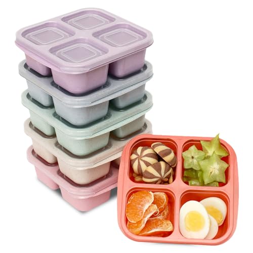 6 Pack Meal Prep Containers, 4 Compartment Bento Snack Boxes, Reusable Divided Lunch Box Containers for Adults, Kids, Toddlers, Travel, Work, School