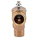 Cash Acme 3/4 Inch F-30 Safety Relief Pressure Release Valve, Brass Plumbing Fitting, 20166-0030