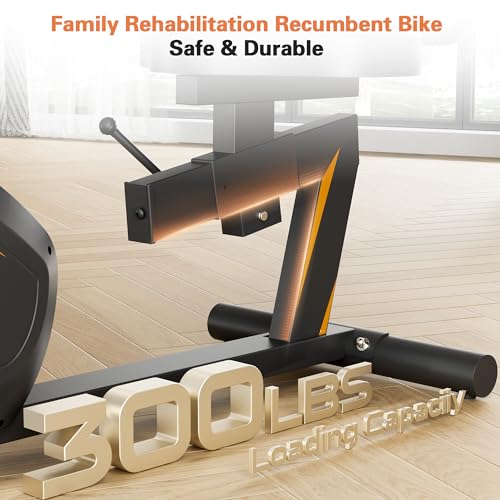 Image of Recumbent Exercise Bike, Stationary Bikes for Home Magnetic Recumbent Bike with Adjust Seat for Adults Seniors, 300LB Capacity & 8-level Resistance, LCD Monitor and Heart Rate Handle