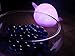 Smoko Nari Narwhal Lamp | Ambient Night Light with Soft Glow | Auto Shutoff Timer (Purple)