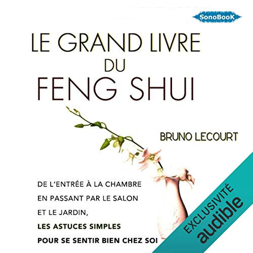 Le grand livre du Feng Shui: De l'entrée à la chambre à coucher, en passant par le salon, les astuces simples et économiques pour se sentir bien chez soi