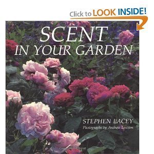 Scent in Your Garden by Stephen Lacey (1991-04-01)