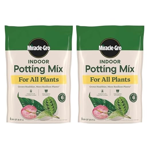 Miracle-Gro Indoor Potting Mix 6 qt., Grows beautiful Houseplants, 2-Pack