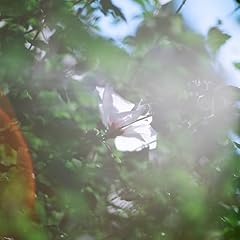 ���͂悤 / STUTS�Ƒ�і��q