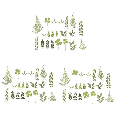 TEHAUX 3 Peças 1 Material De Gravação De Flores Secas DIY Folhas Secas Artesanato DIY Folhas Reais F