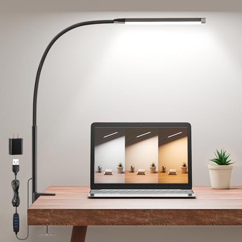 HECDSTLY Clamp Lamp for Desk, Eye-Caring LED Clip Light for Home Office