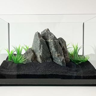 Schicker Mineral Sable d'aquarium Noir 0,4-0,8 mm 25 kg, Gravier Fin pour Aquarium, substrat aux Bords arrondis, Couleur inaltérable, Gravier pour Aquariums d'eau Douce et Aquariums d'eau de mer