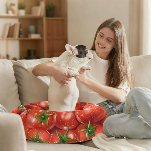 Lit apaisant pour chien Fresh Tomatoes rouge S moelleux rond