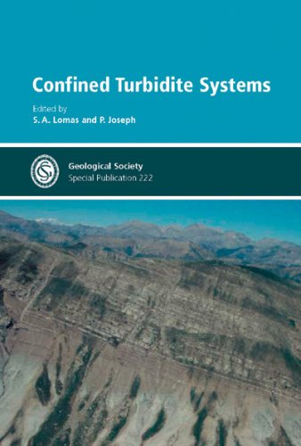 Confined Turbidite Systems (No. 222)