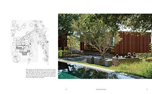 Hocker: 2005-2020 Landscapes