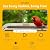 Birds Choice Smart Bird Feeder with Camera | Solar Powered Bird Watching for Outdoors | AI to Identify Bird Species, Capable of Real-Time Streaming | Wireless with Camera, Waterproof Construction