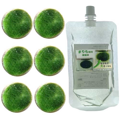 Amazon.co.jp: まりも 1cm 6個 まりも栄養剤付き 育成セット : DIY