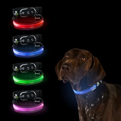 Petty Italia Verstellbares Hundehalsband aus Biothane mit LED, Nachtleuchtendes Halsband aus Biothane mit PVC und wiederaufladbarem Akku (Grün, L)