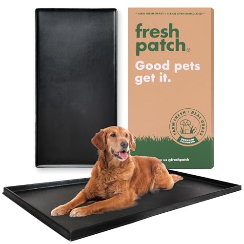 Fresh Patch Plastic Tray for XL Real Grass Pee and Potty Training Pads for Large Dogs and Multi-Dog Households – 4 ft x 2 ft Multi-Purpose and Reusable Crate Tray for Indoor and Outdoor Use