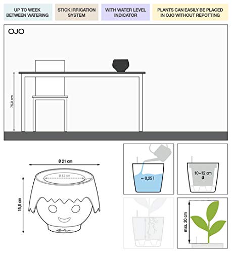 LECHUZA OJO ruby pink ruby pink 19041