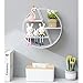 Iczodrow Moderno estante flotante hexagonal montado en la pared, estantes de almacenamiento de pared de metal, estantes de almacenamiento de pared, sala de estar, cocina, oficina (blanco, redondo)