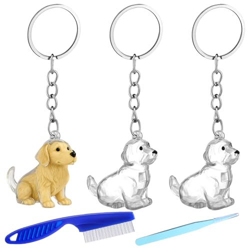 Nosiny 3 Pcs Dog Hair Collector Keychain Charm Memorial Storage